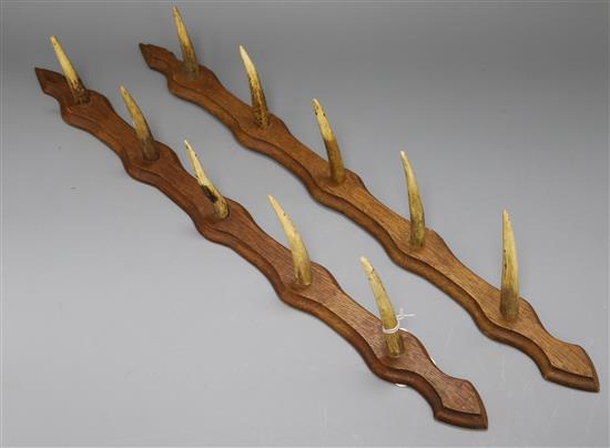 A horn and carved wooden gun rack